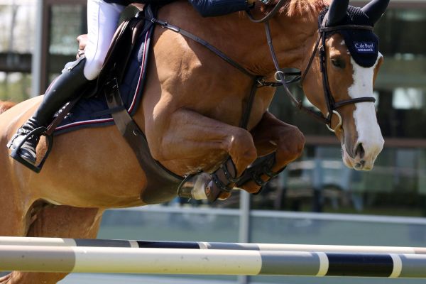 Tip Top Mury Marais Z