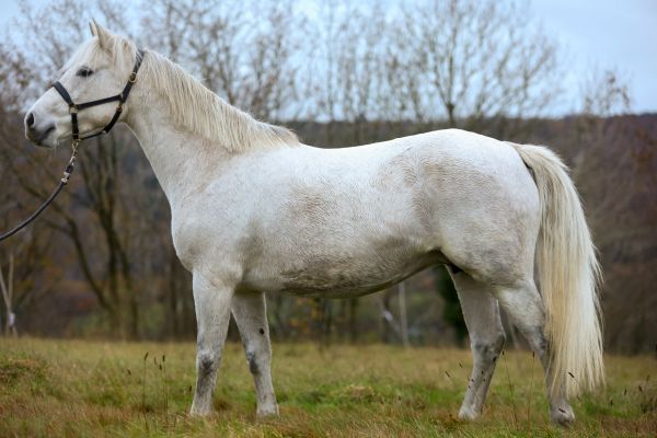 Jardin Secret Menezig - 1