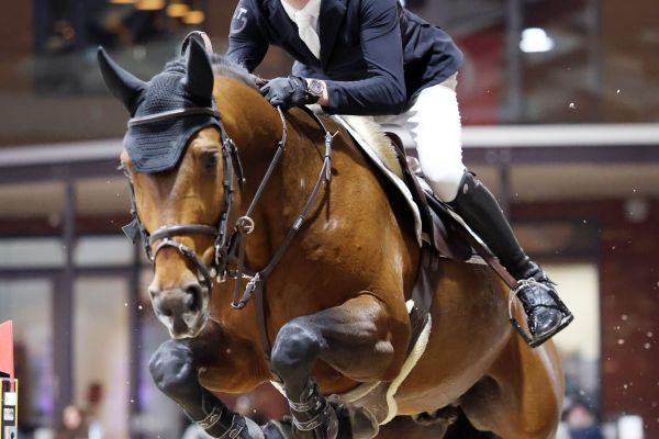 Gin Flip de Muze - Spits