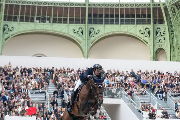 Nathan Budd - Touardo Blue Z