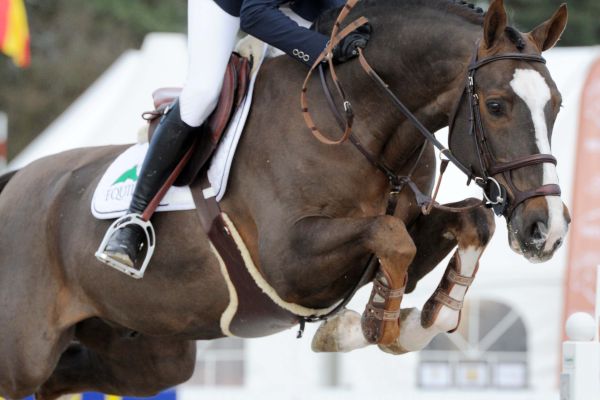 Echo van 't Spieveld - Niels Bruynseels