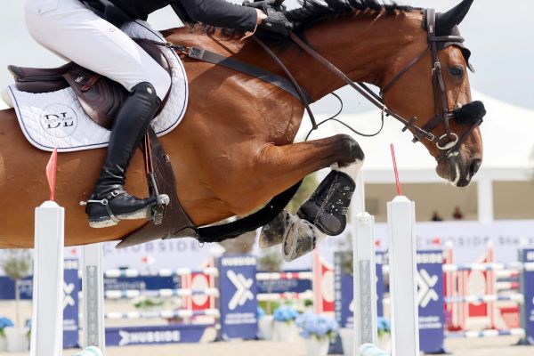 Quilina v Merelsnest