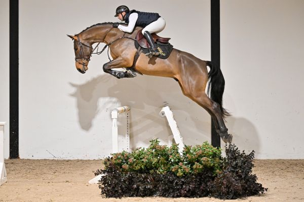 Viktor ter Elzen - 3