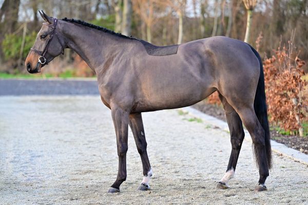 Ufania P van de Donkhoeve