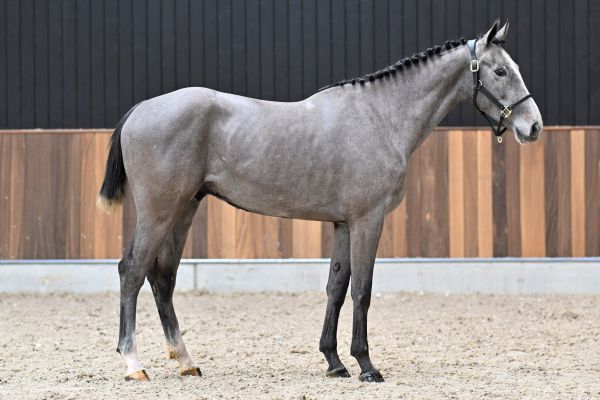 Uruguay vh Gehucht Z - 2