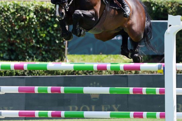 O'Bailey vh Brouwershof NOP