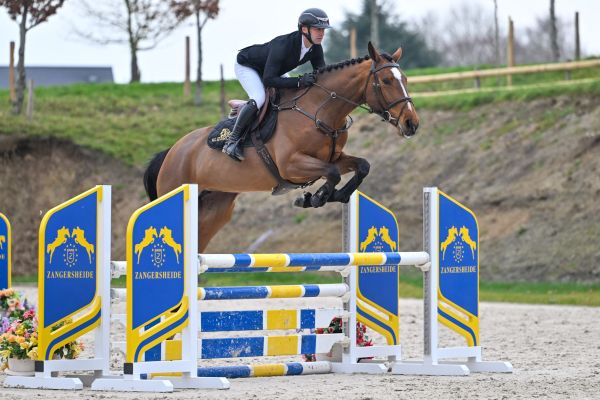 Easy Cera du Maillet Z 2