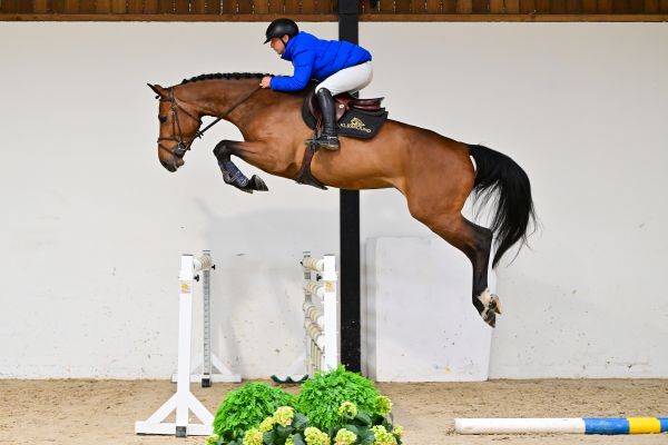 Ladame Croisette under the saddle