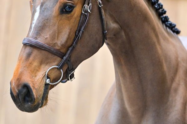 Rosie du Pont-Rihen 1