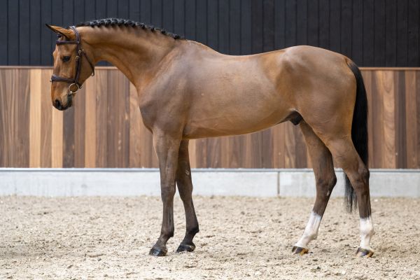 Chacandro Breaker PS 3