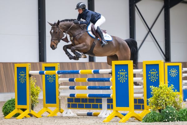 Haloas des Courtis Z 2