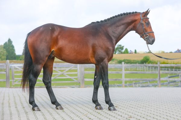 Chacco 2 Kid AE Z - 3