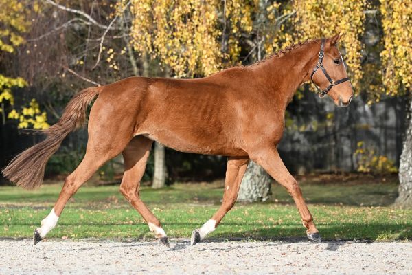 Lola de Beaufour - 4