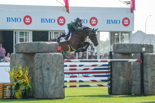 Daniel Coyle - Legacy (ex Chavantele Z)