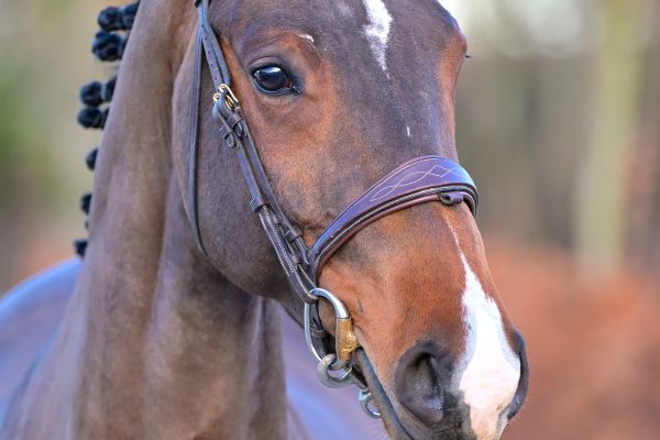 Quickly M du Caillou - 1