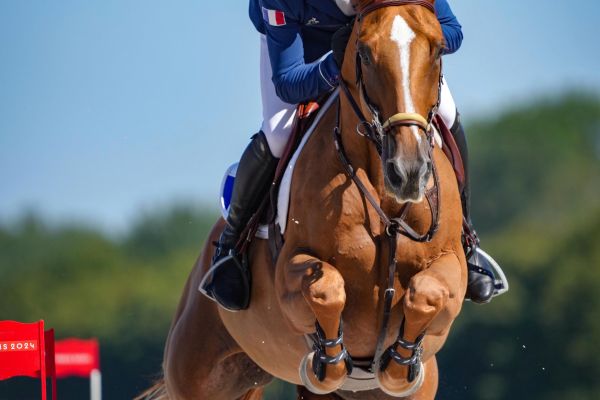 Diriyah (ex Dubai du Cedre) - 1