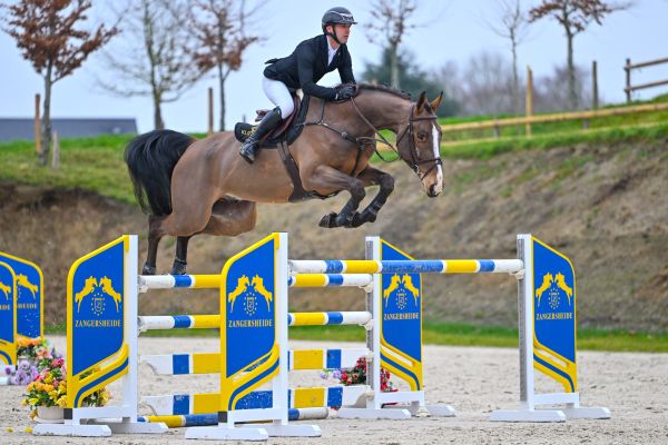 Toronto van het Lindehof 2