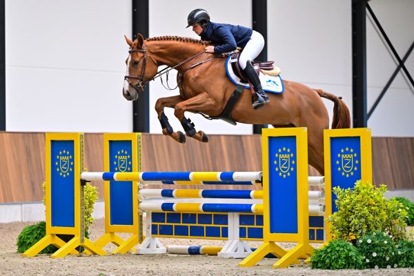 Enigma de la Marchette Z 2