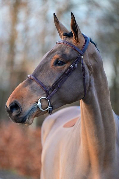 Viktor ter Elzen - 1