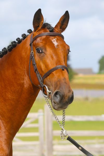 Chacco Baby AE Z - 2