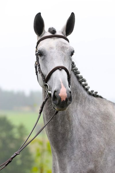 Prada d'Hortincourt - 1