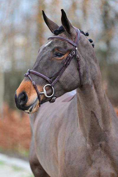 Promesse de Cantraine - 1