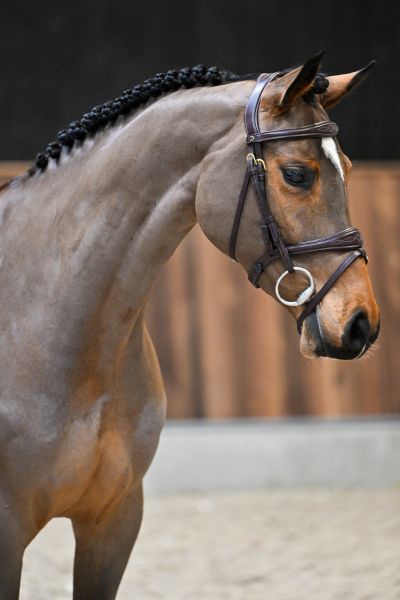 Classic Girl in de bus z 1