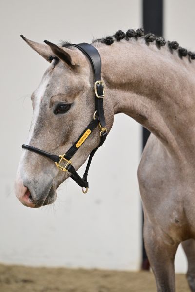 Chardonnay Keros Z 1