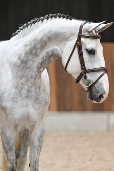 Easter Van Twelve Oaks Z 1