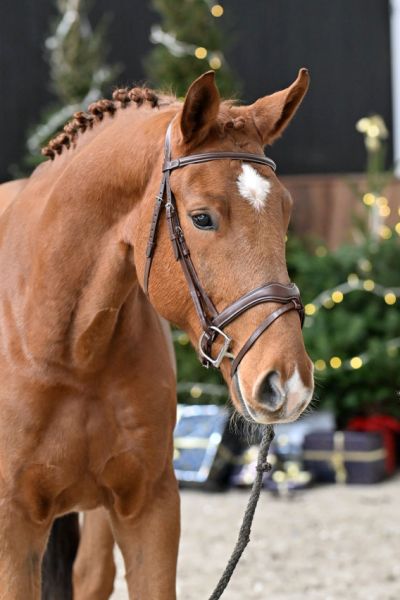 Viktor van 't Heike - 3