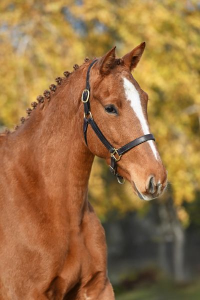 Lola de Beaufour - 2