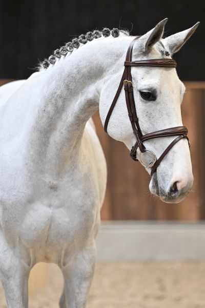 Gora des Cha&icirc;nes  1