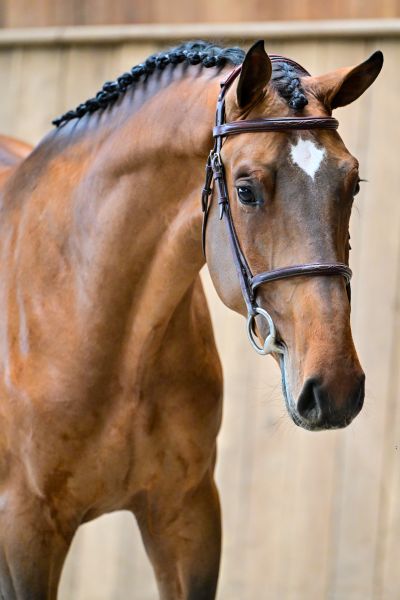 ROTHSCHILD DU FOURCROIX 1