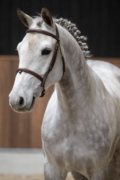 Kings of Leon D'Utah 1