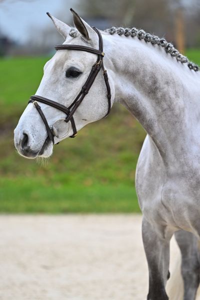 Kings of Leon D'Utah 1