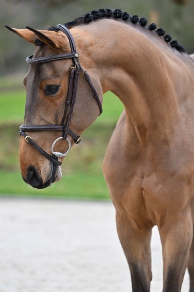 Chacandro Breaker PS 1