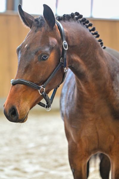 Thy's my life du Bel Horizon 1