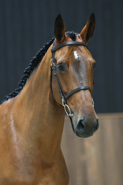 Umi van 't Meerhof 1