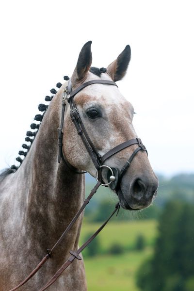 Opium d'Hortincourt 2