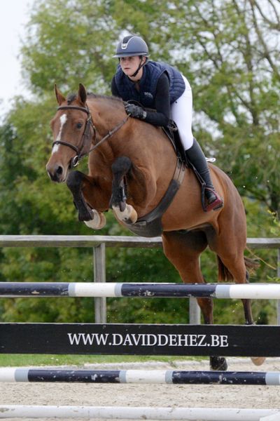 Papillon de Nalonsart 2