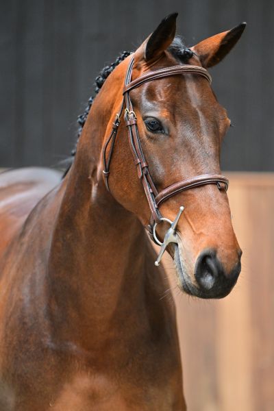 Charisma de la Marchette Z 1