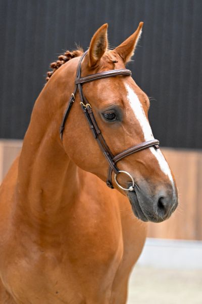 Nasia's Boy Keros OL 1
