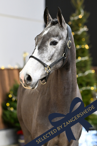 A Million Dollar Girl vd Pluimert Z