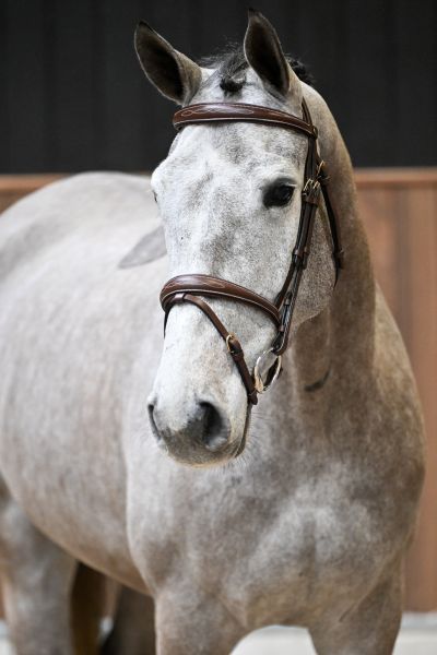 Jersey de Ponthual 1