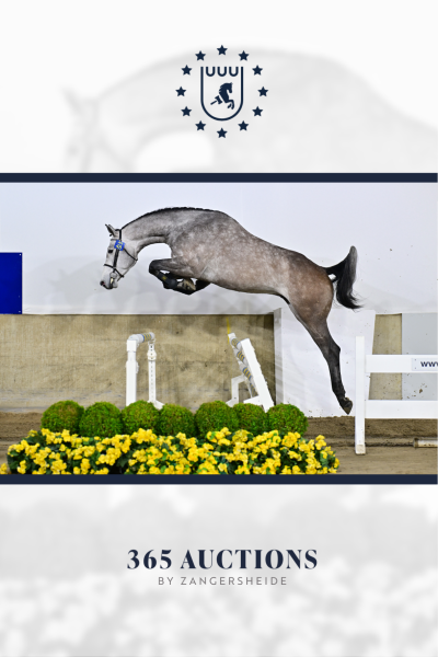 Conrad Gold vd Pannenboer Z