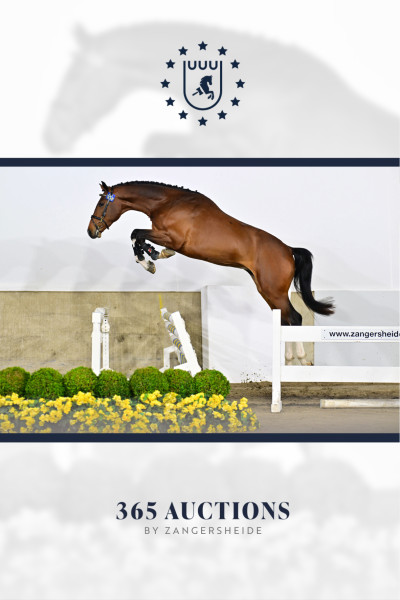 Chuck van de Spievahoeve Z