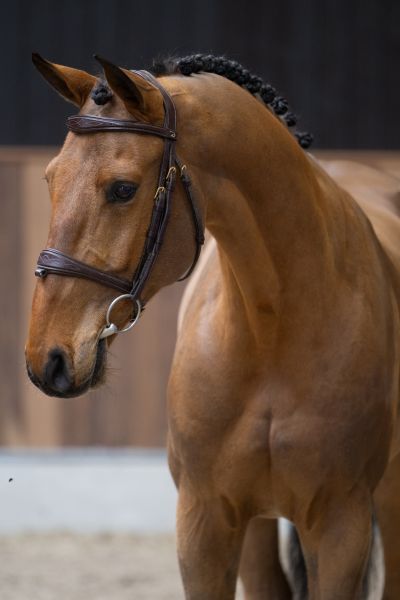 Chacandro Breaker PS 1