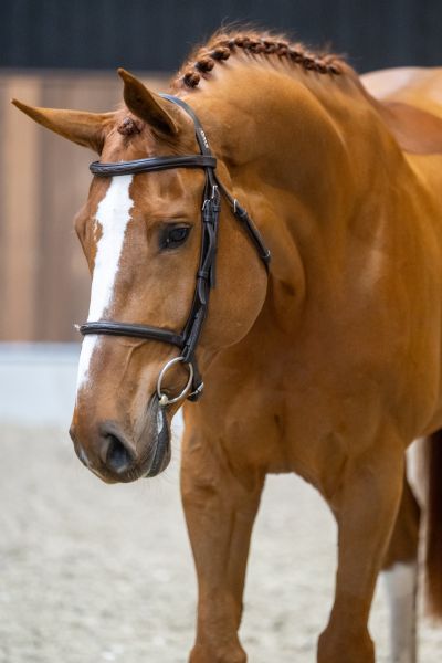 Un Ami van de Binnenheide 1