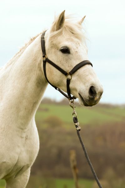 Jardin Secret Menezig - 2
