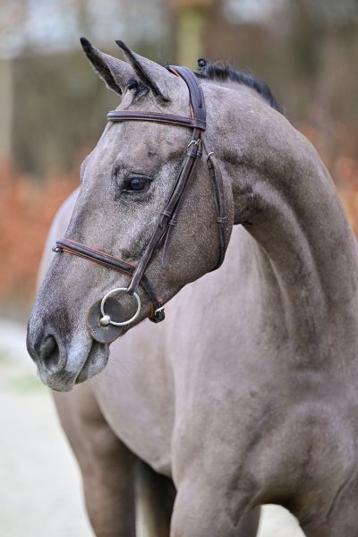 Mirano de Courcel - 1